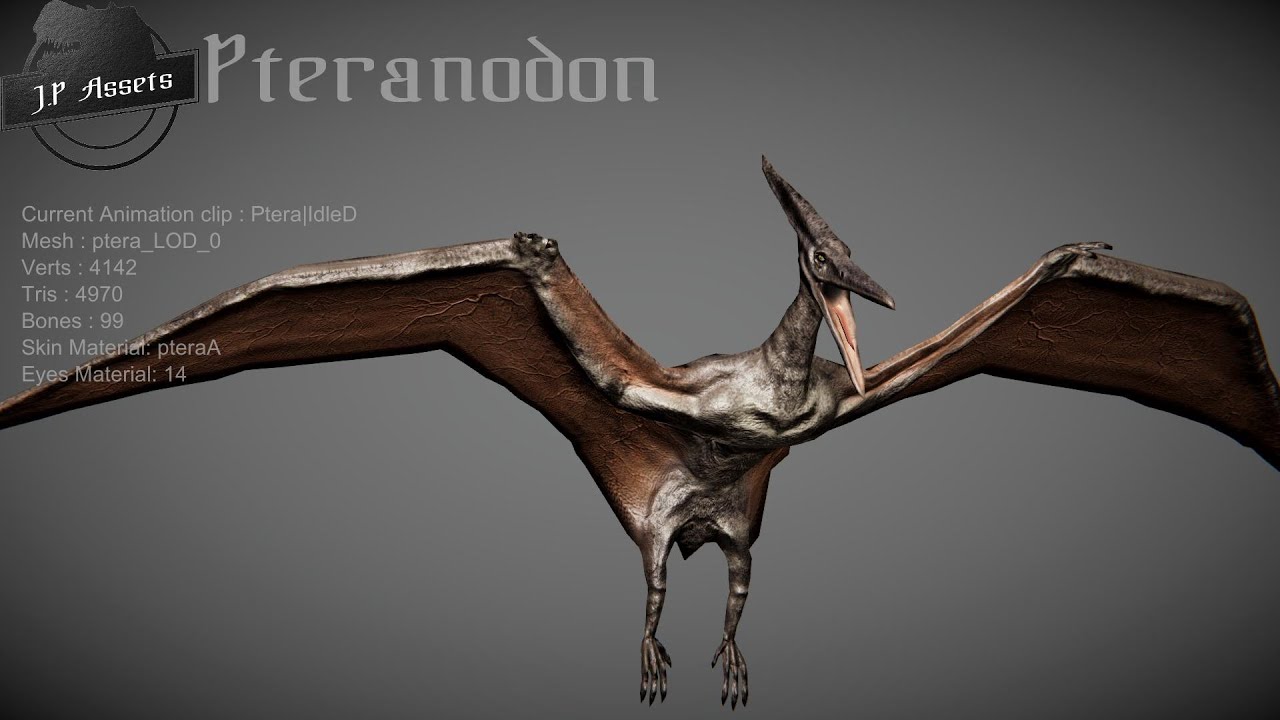Pteranodon