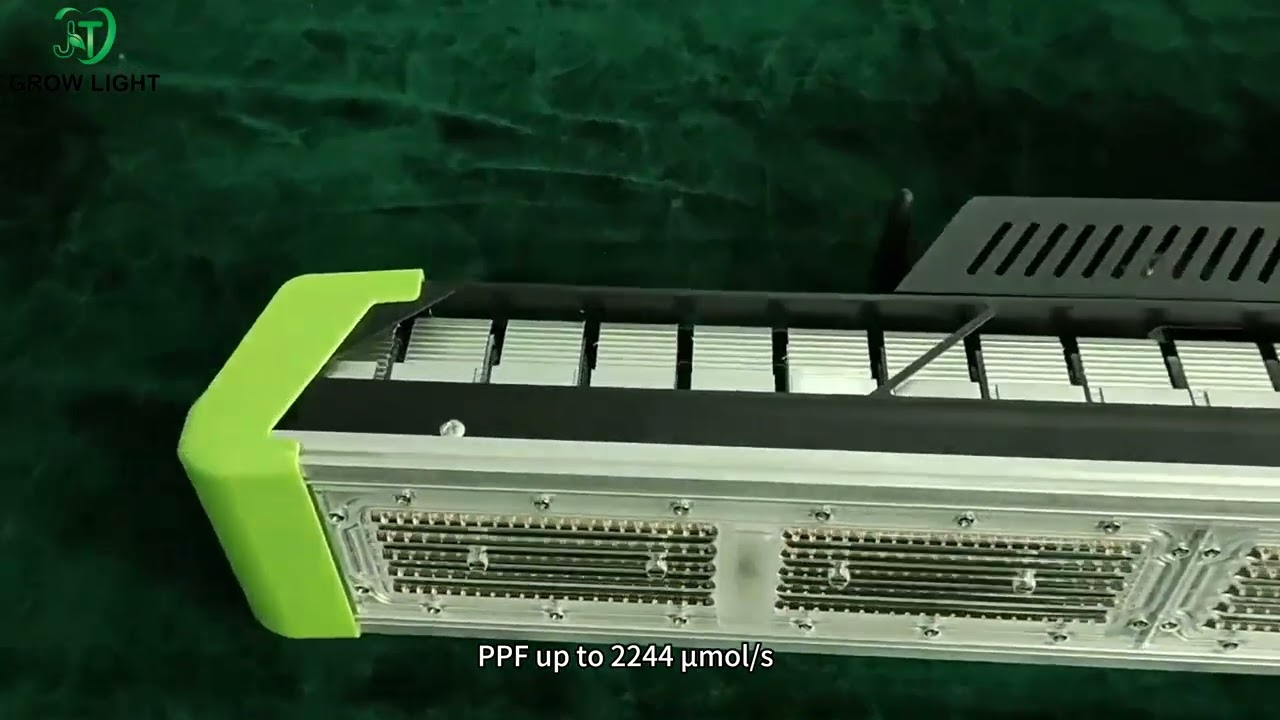 Top LED Grow lights for greenhouse