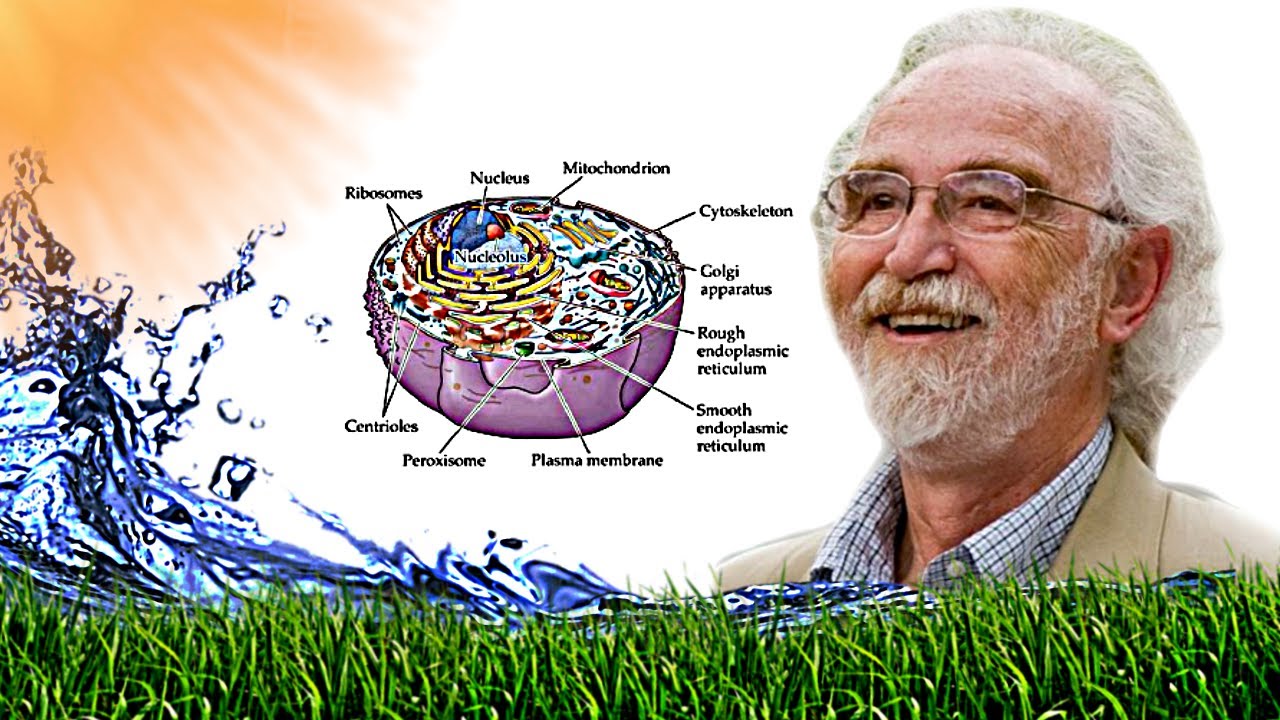 Dr. Gerald Pollack: Making The Healthiest Water