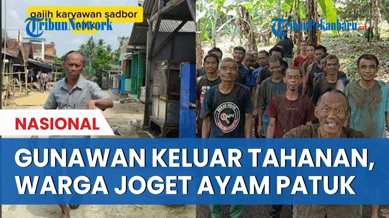 Gunawan Sadbor BEBAS,  Aipda Ambarita dan Warga Sukabumi Kembali Joget “Ayam Patuk” di Tengah Kebun