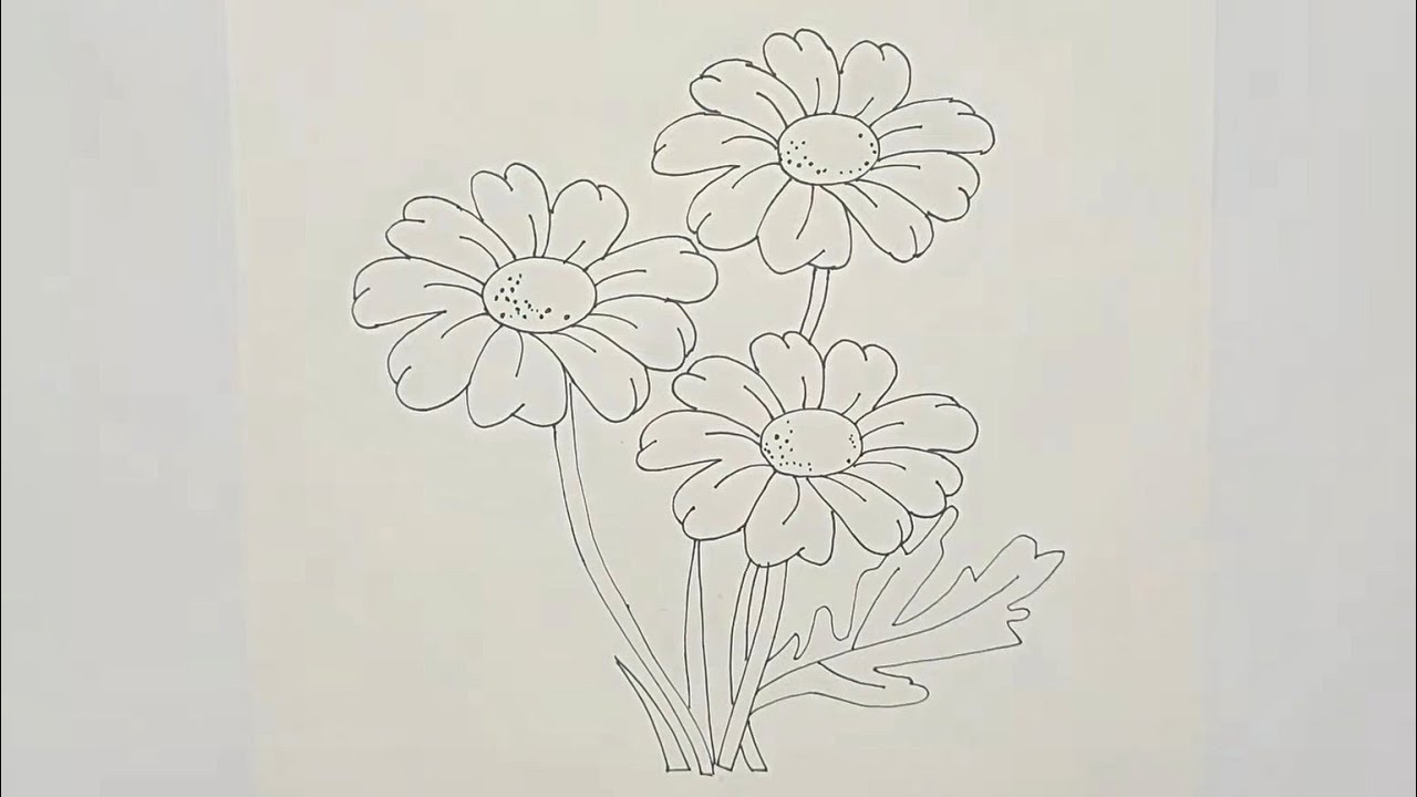How to Draw a Flower Step by Step | How to Draw Daisy Flower | Sketch Drawing | Easy Sketches