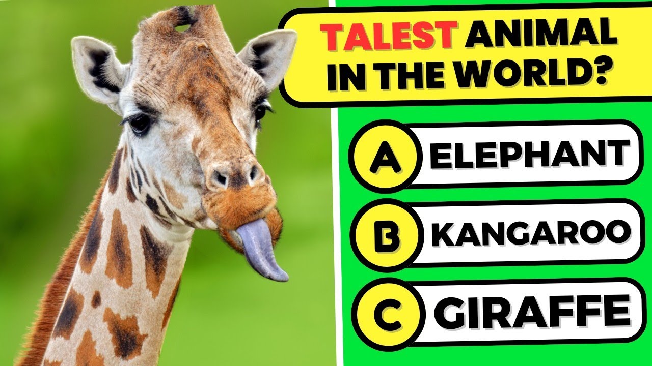 General Knowledge Questions About Animals! 🐘🧠🤯 Animals Knowledge Trivia Questions and Answers