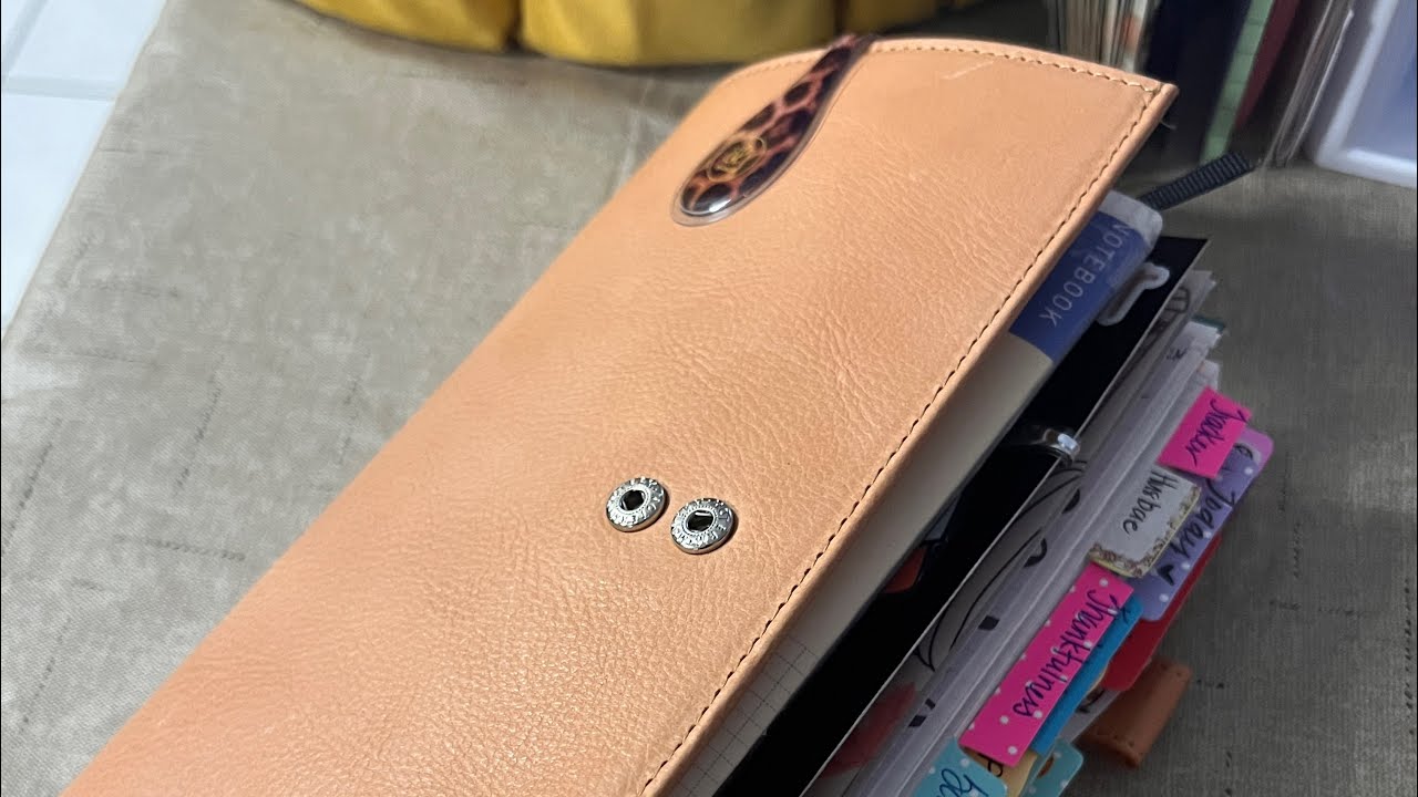 Moterm Veg-Tanned Standard Companion Review - Apricot Leather