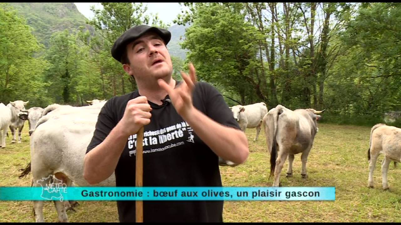 Recette : b&oelig;uf aux olives &agrave; la gasconne - M&eacute;t&eacute;o &agrave; la carte