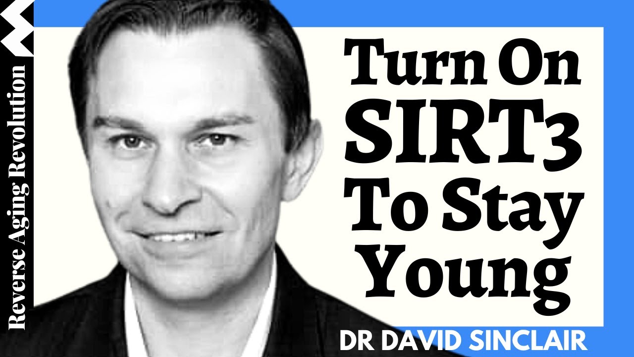 Turn On Mitochondrial SIRT3 To Get Extra Longevity Benefits | Dr David Sinclair Interview Clips
