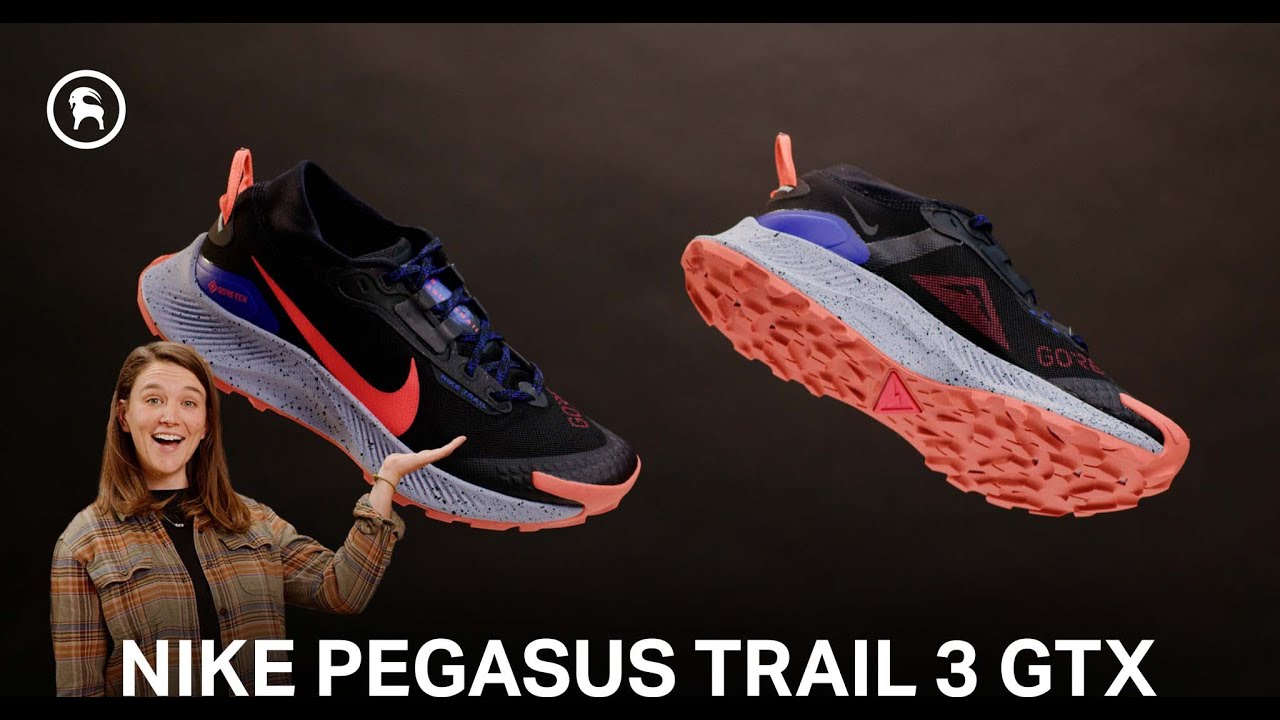 Nike Pegasus Trail 3 GORE-TEX Running Shoe