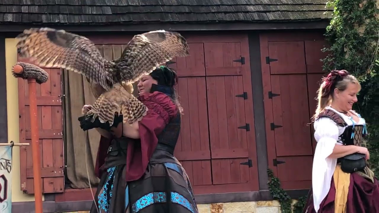 Texas Renaissance Festival  AWESOME Birds Of Prey Show (Nov 2022)