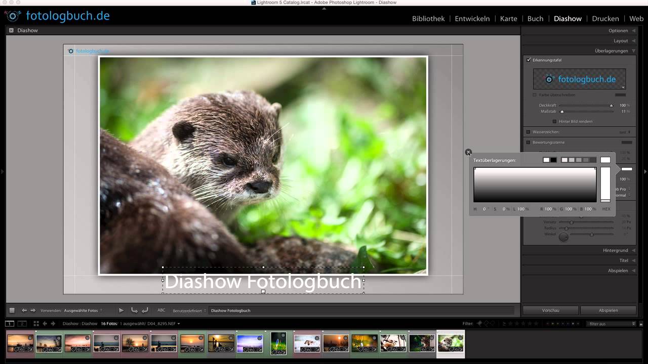 Lightroom meine Arbeitsweise, Diashow erstellen