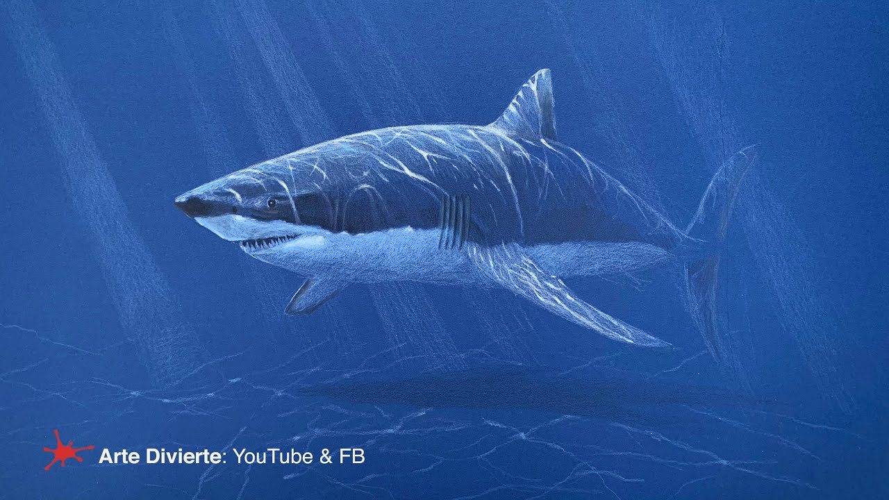 CÓMO DIBUJAR UN TIBURÓN BLANCO CON LÁPICES DE COLORES