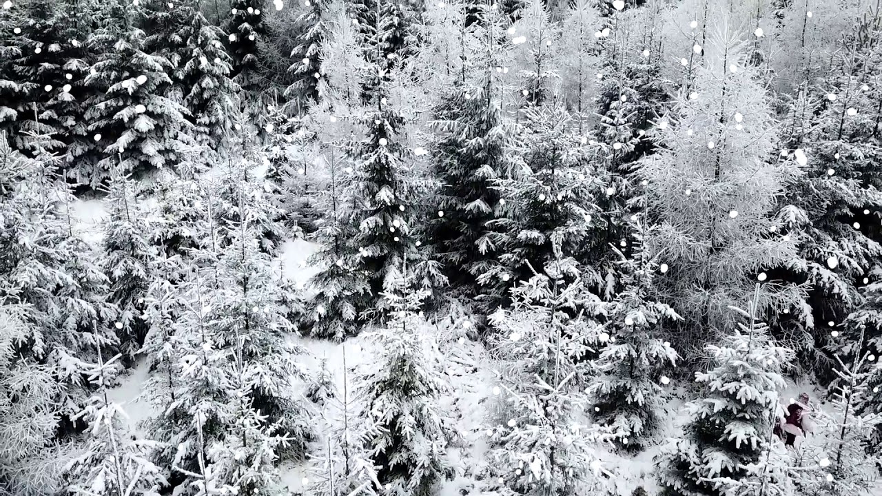 cestou na ples&aacute;