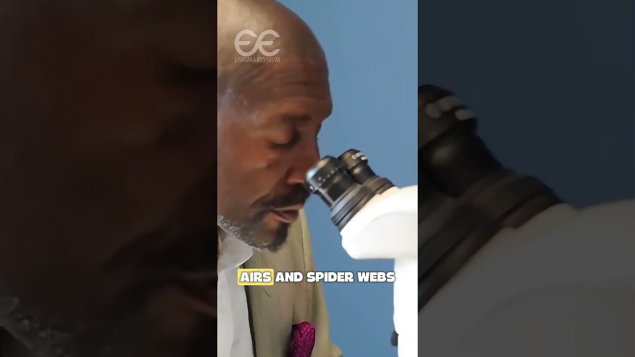 The Man Who Builds Worlds on a Needle Tip (Credit: willard_wiggan/ig)