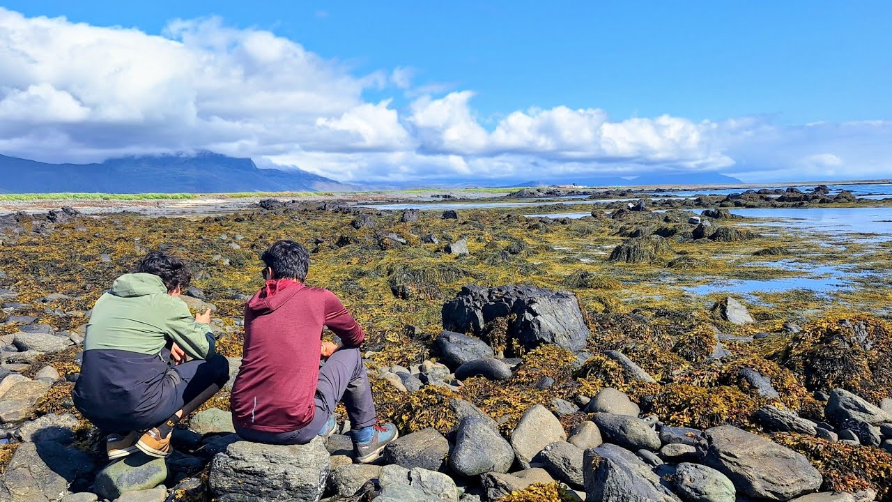 Ytri Tunga (the seal beach in Snaefellsnes)