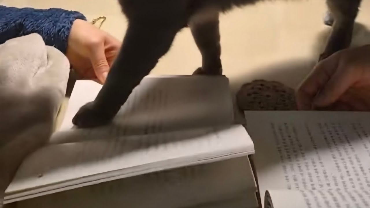 교회가기 전, 📚 독서와 ☕️ 커피타임 함께해요.🤍