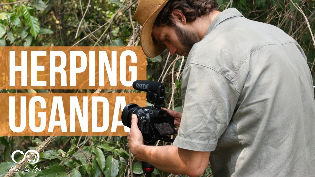 Herping Uganda Part 1 - The Herping Journey Begins