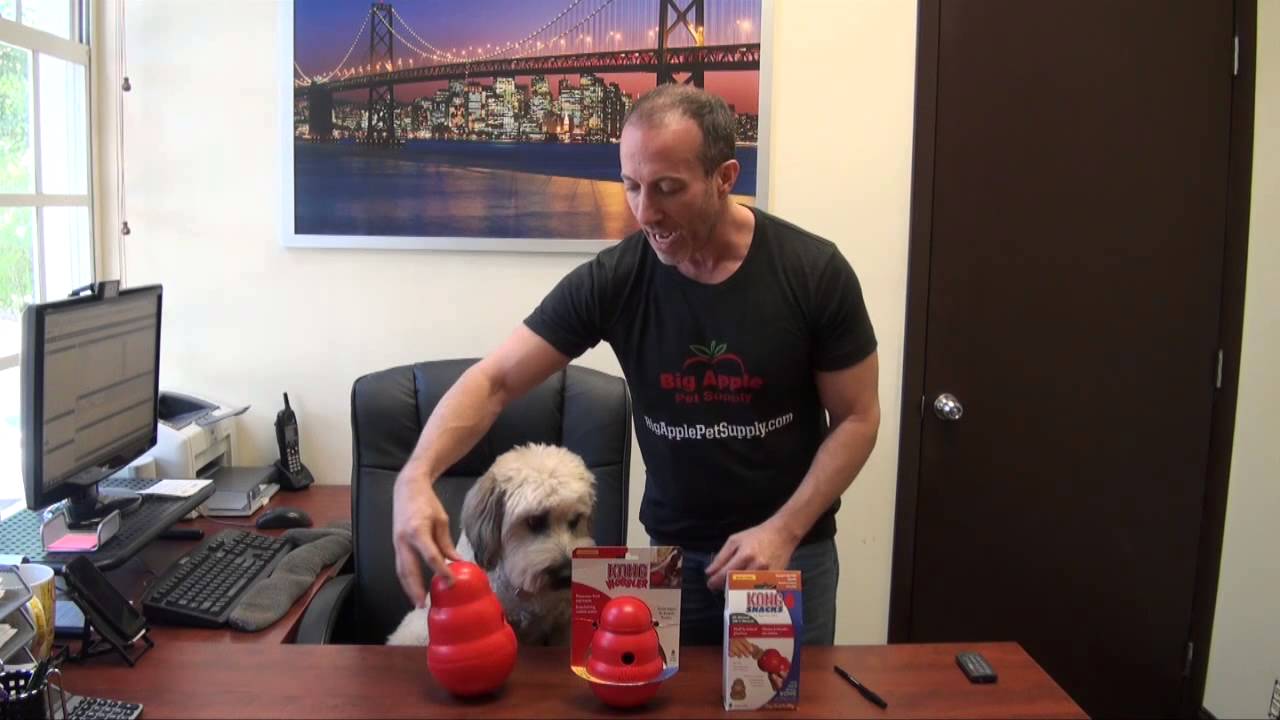 KONG Wobbler - Dog Food & Treat Feeder and Interactive Dog Toy