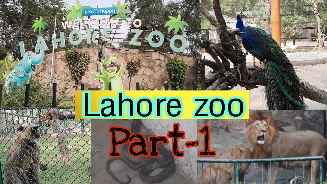 LAHORE ZOO 2022 | Part-1 | WILDLIFE PARK | LIONS AND TIGERS | DISCOVER PAKISTAN |LAHORE SAFARI #Vlog