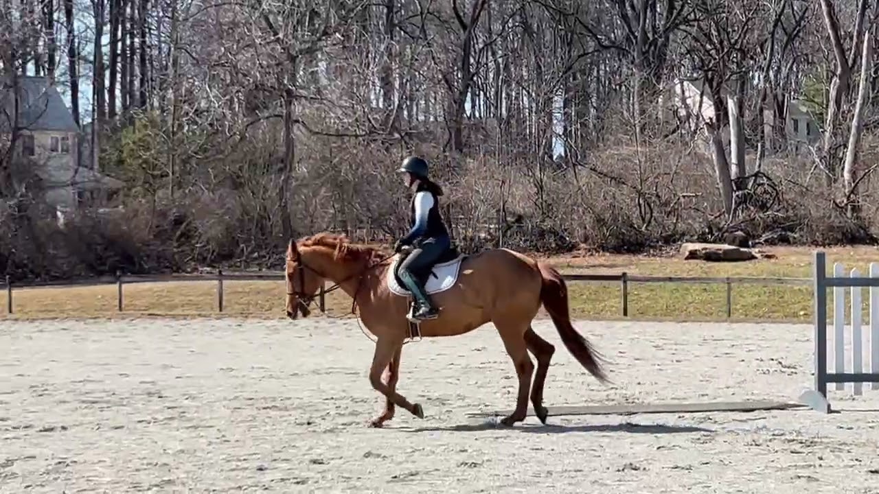 Elliot flatting