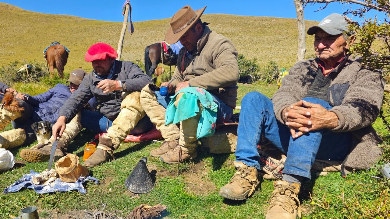 Rodeo de ganado Arrieros del Cajón cordillerano del Melado trashumancia criancero como es un rodeo 