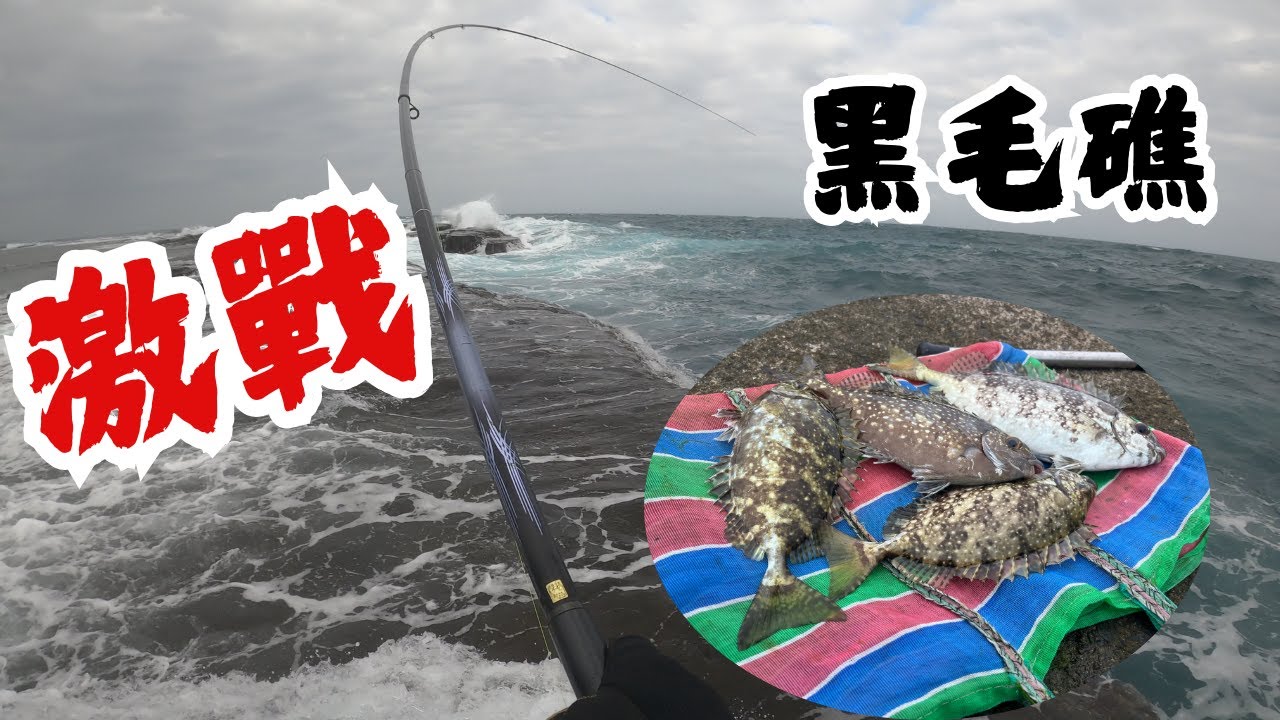#藻餌磯釣#東北角#馬崗#黑毛礁