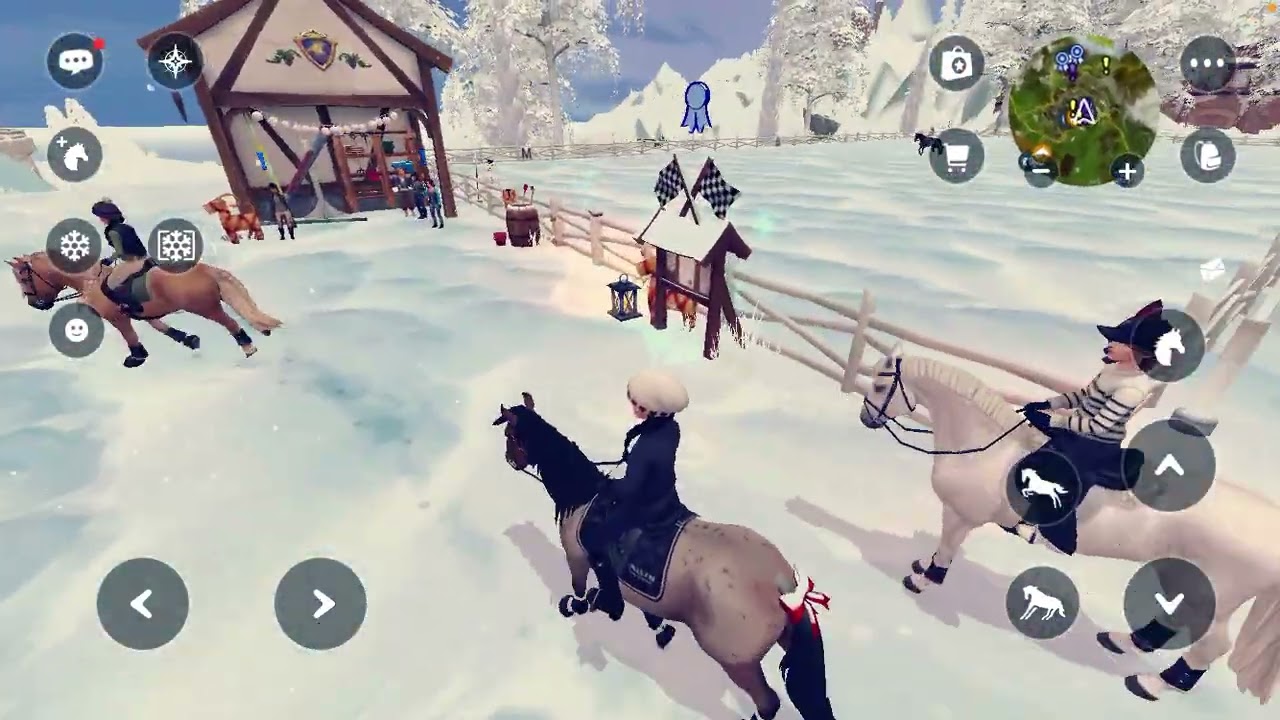 Train Rocky with me part 1