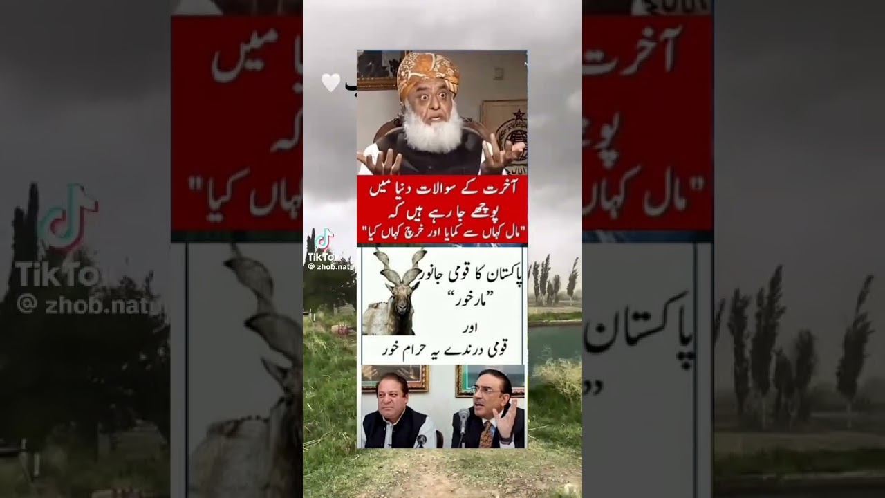 pazal Rahman and nawaz sharif and shabaz sharif 😀😀😀