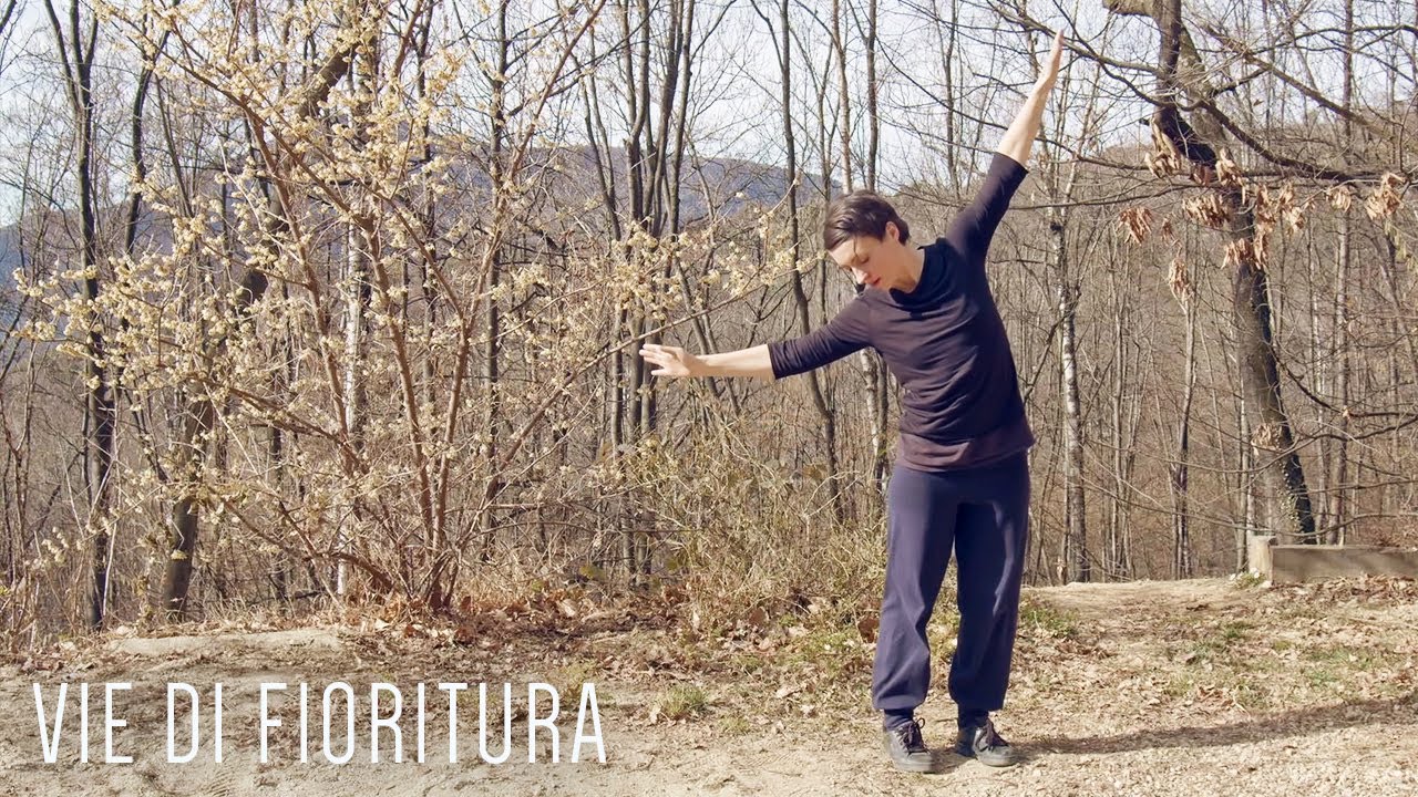 Flight exercise, contemporary dance practice