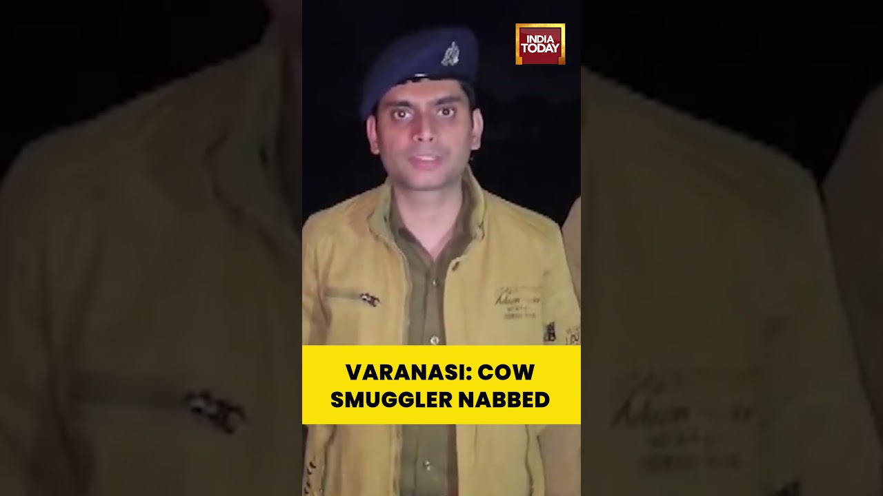 Varanasi Police Nab Cow Smuggling Suspect After Encounter; ACP Prateek Kumar Briefs #varanasi