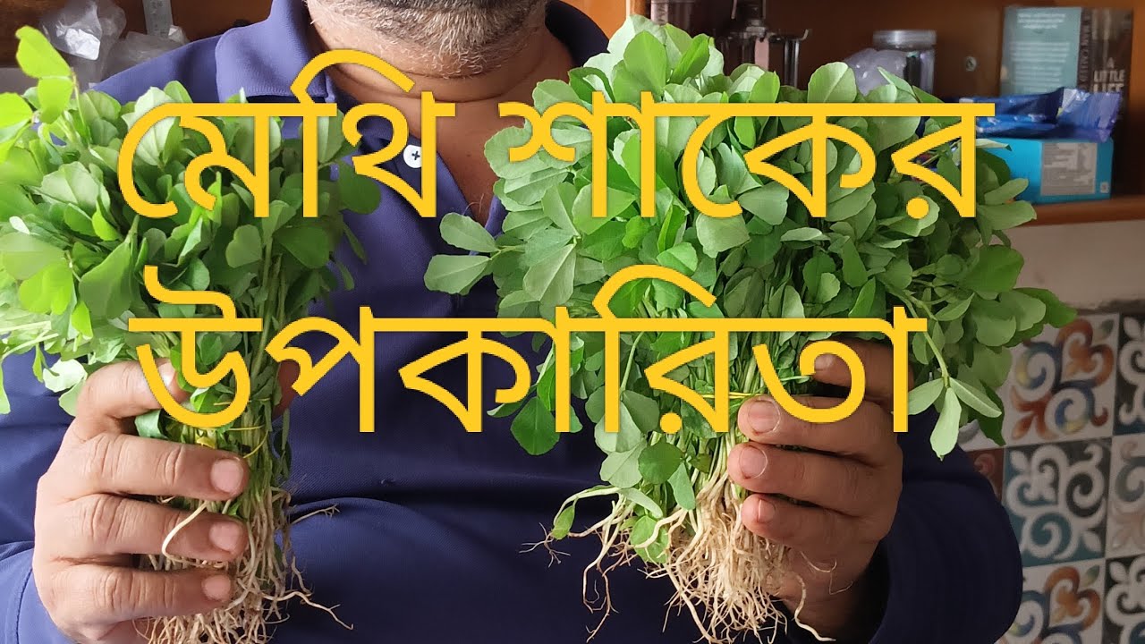 মেথি শাকের উপকারিতা ♥️❤️💕 