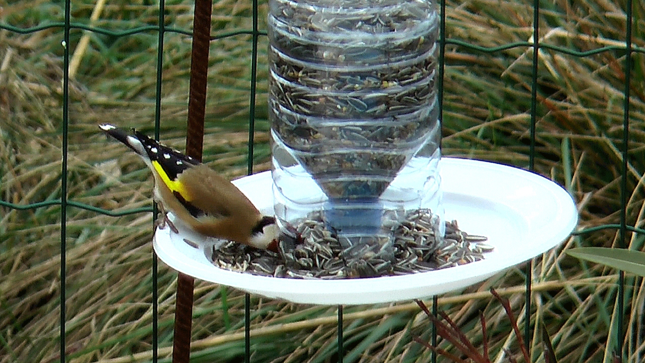 silo pour graines d'oiseaux - version revisitée en 2019 sur ce lien - https://youtu.be/U1Gu5e4C1t8