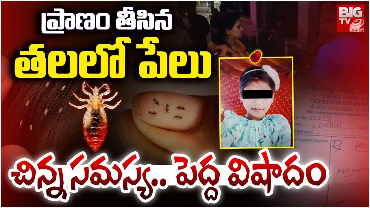 Head Lice Infestation | ప్రాణం తీసిన తలలో పేలు | Odisha Incident | BIG TV