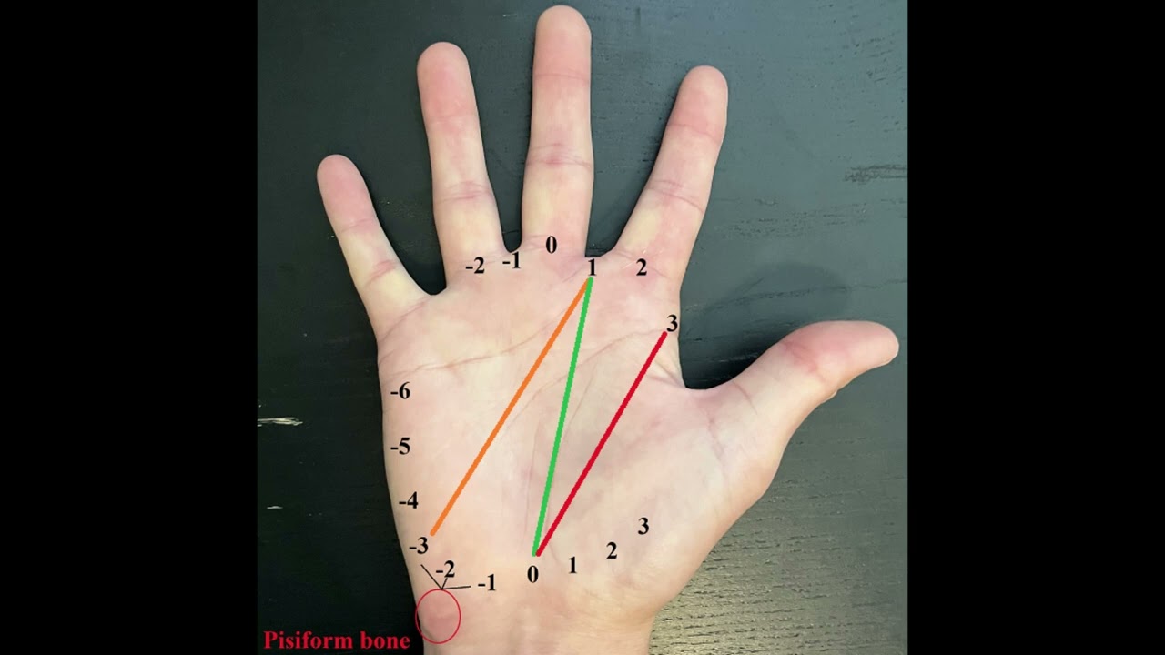 Grip alignment & nose test F1P0 vs F1P-3 tech disc tests disc golf