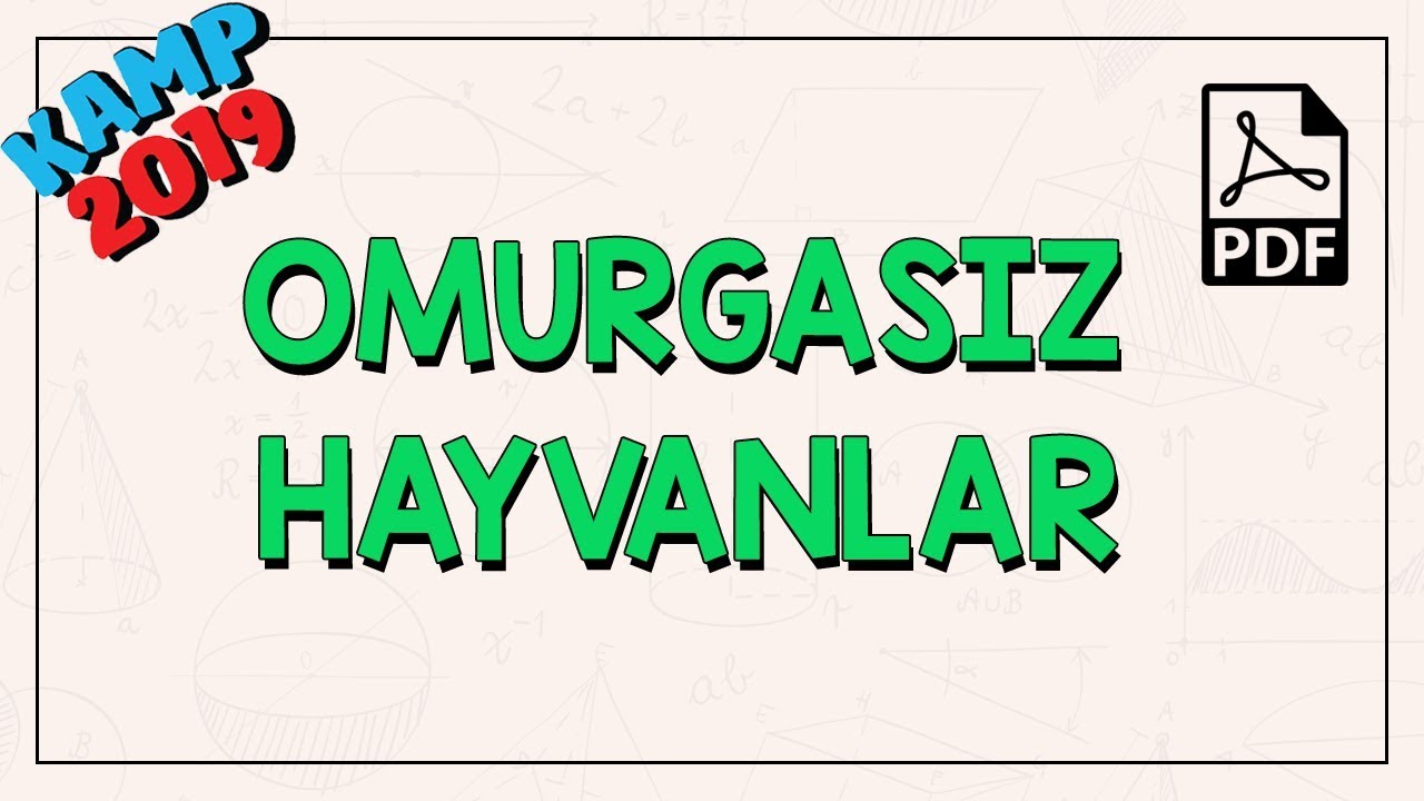 Hayvanlar Alemi | Omurgasız Hayvanlar