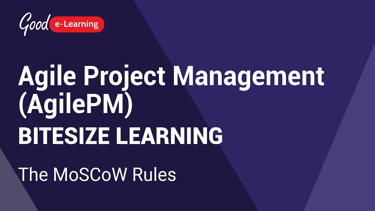 AgilePM Bitesize Learning: The MoSCoW Rules (Agile Project Management tutorial)