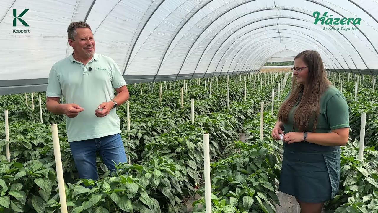 Przystanek PAPRYKA w drodze do MAX plonu - odcinek 7. OCHRONA BIOLOGICZNA.