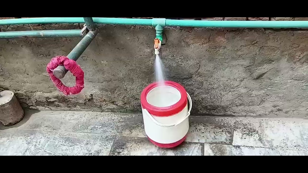 پودوں  کی  کاٹیں  اور آلو کی چپس 