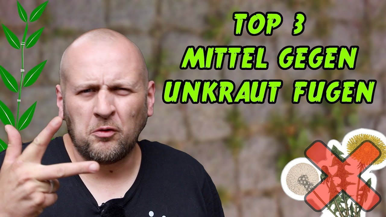 ✅ TOP 3 MITTEL GEGEN UNKRAUT IN DEN FUGEN UNKRAUT ENTFERNEN