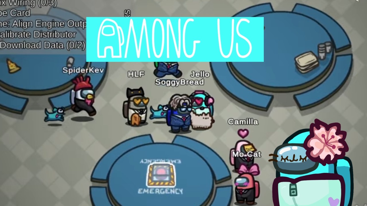 Among Us: THE COOLDOWN IS 3 MINUTES?