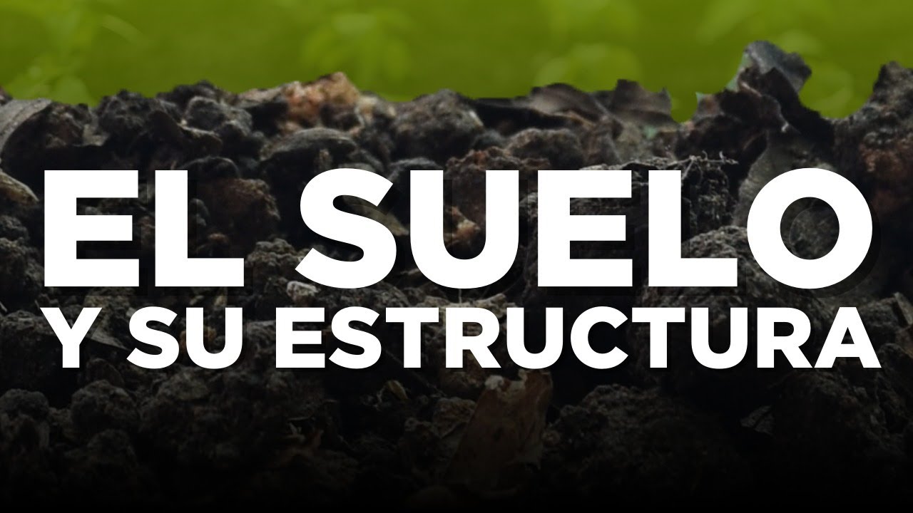 La estructura del suelo: el pilar invisible de la agricultura