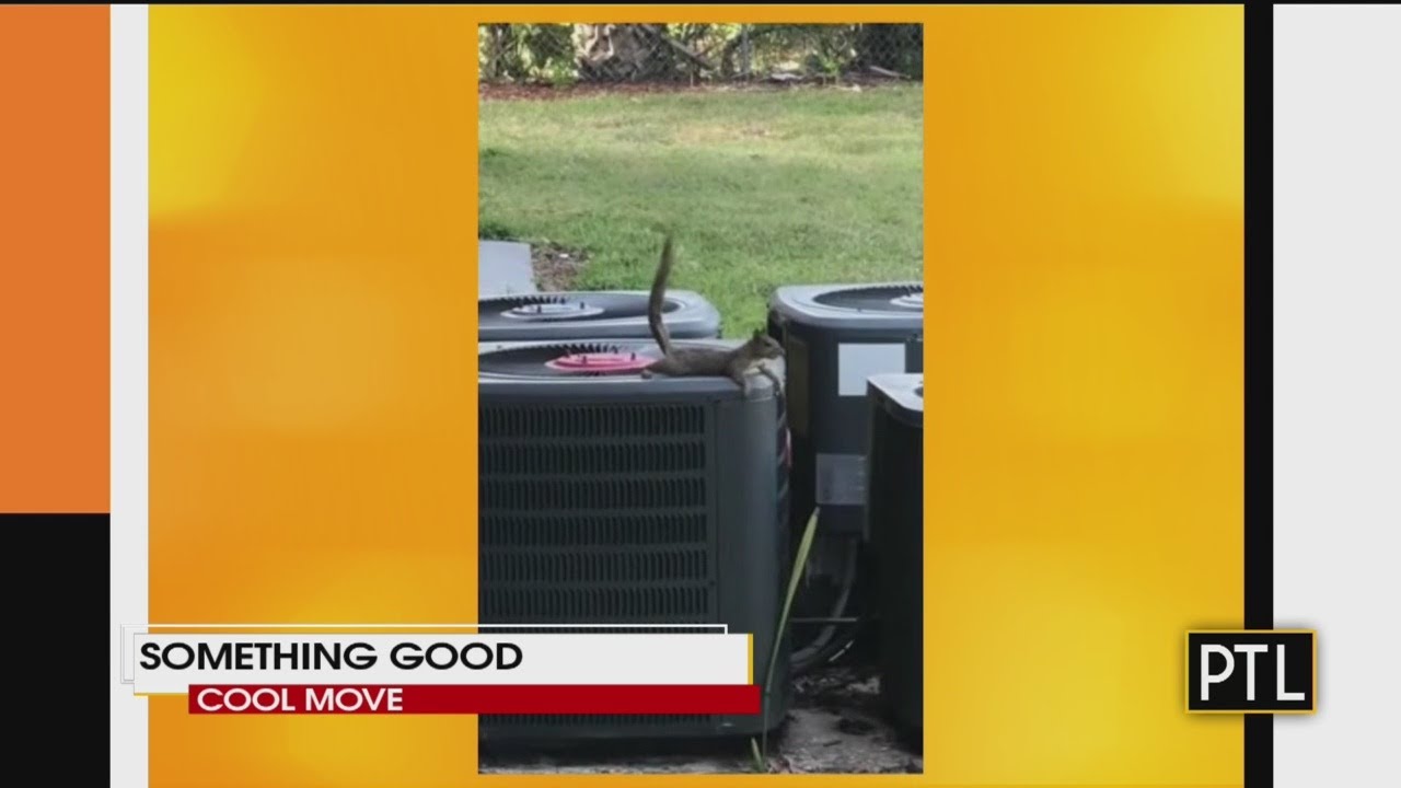 Something Good: Cool Move