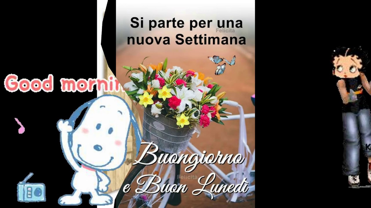 Buongiorno- allegro