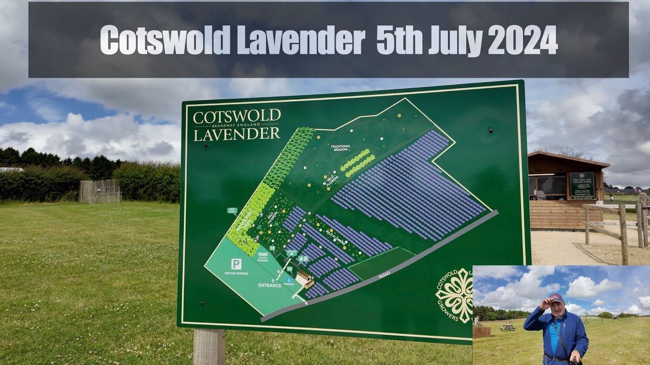 Cotswold Lavender 5th July 2024