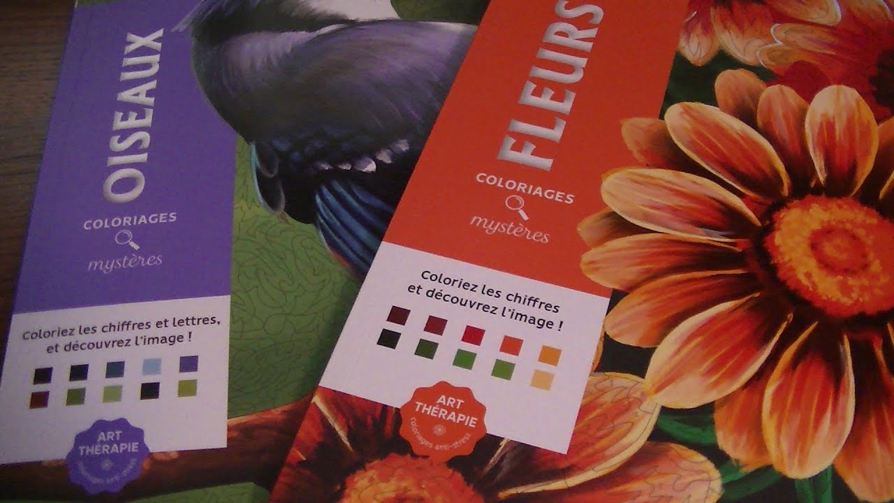 Hachette Coloriage Mysteres Fleurs & Oiseaux w/Solutions!
