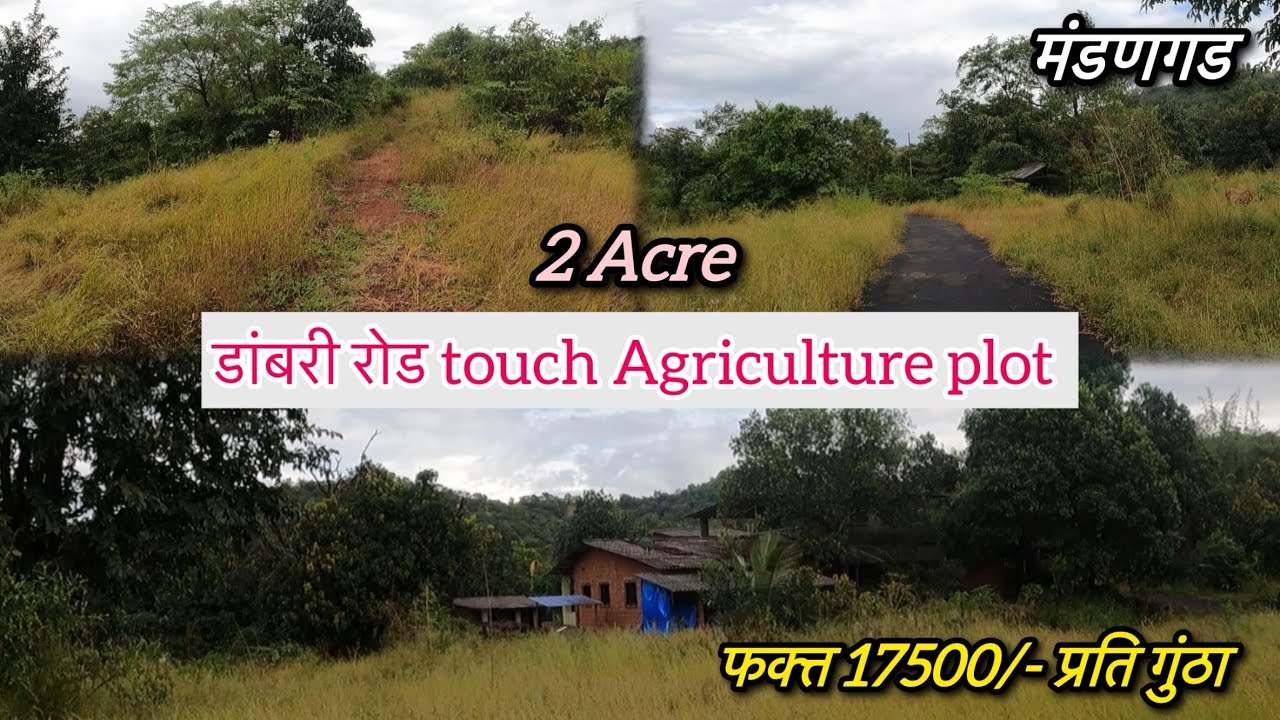Kokan Properties | Clear Title, Resale Agriculture Plot For Sale | मुंबई पासुन फक्त्त 180 kms. अंतर 