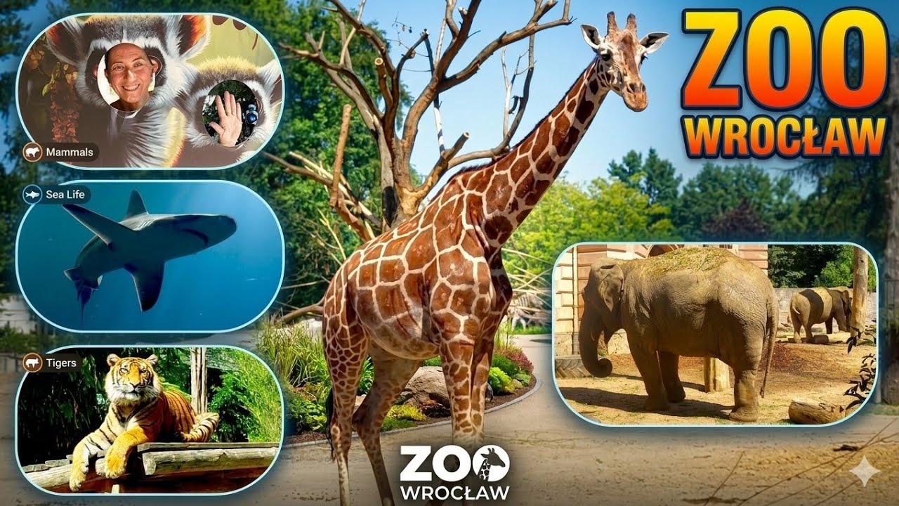 ZOO Wrocław  🦁 Afrykarium & Wildlife Adventure 🦒 Najstarsze Zoo w Polsce!