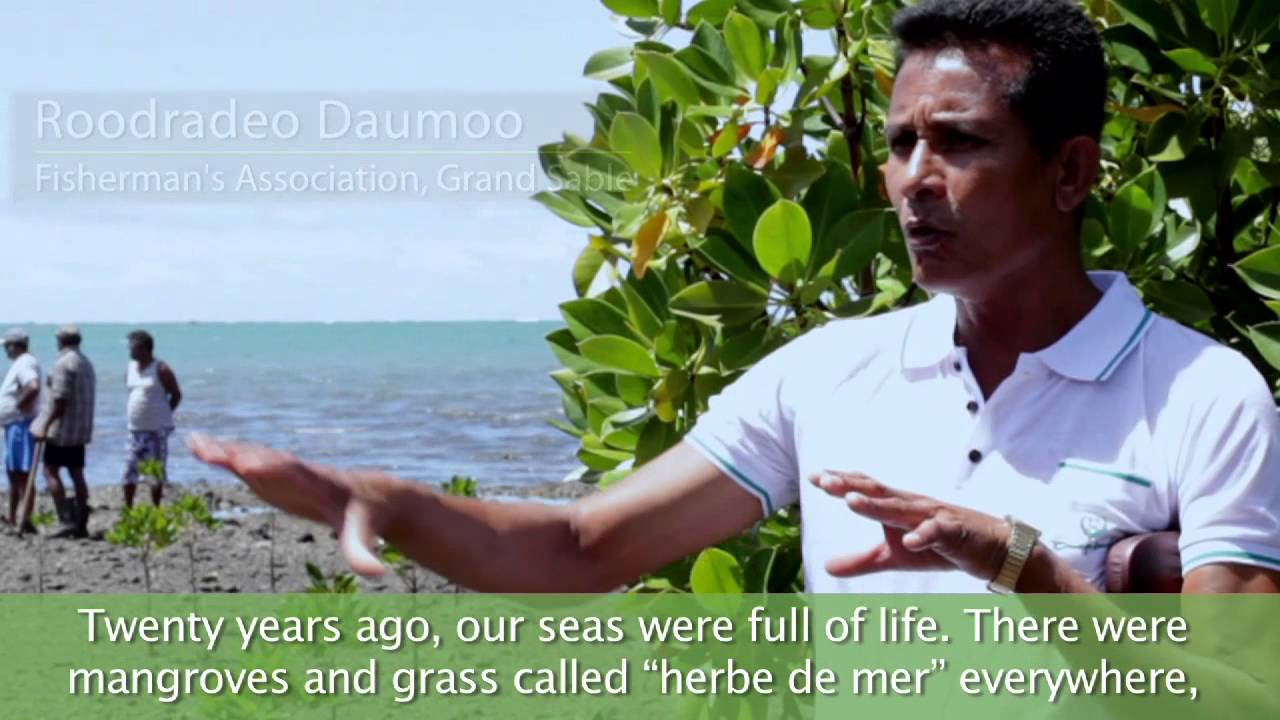 Adaptation Fund Mauritius Project in Action
