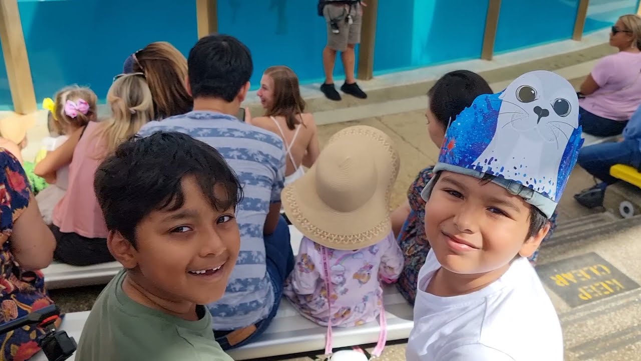 Taronga Zoo Seal Show 2021