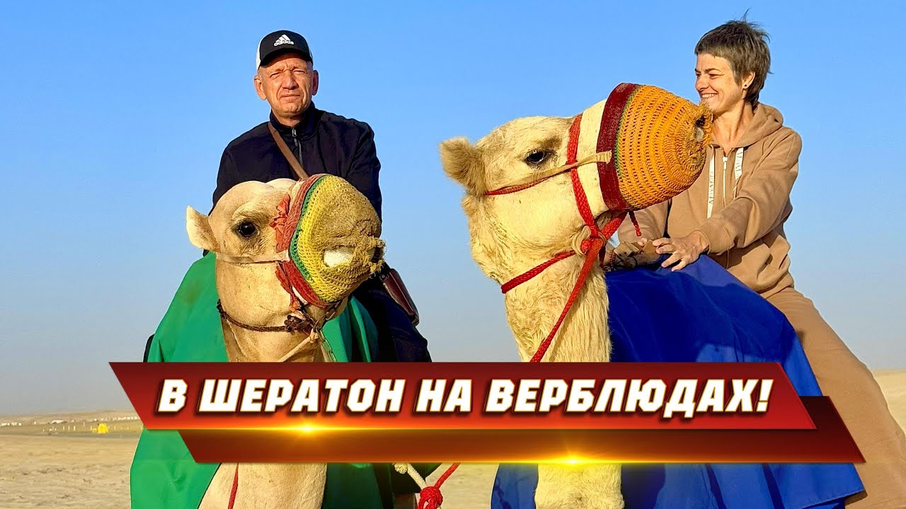 Новый год в Шератоне на берегу моря и на верблюдах!