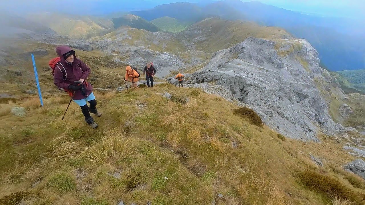 Mt Arthur summit fail - New Years Day 2024