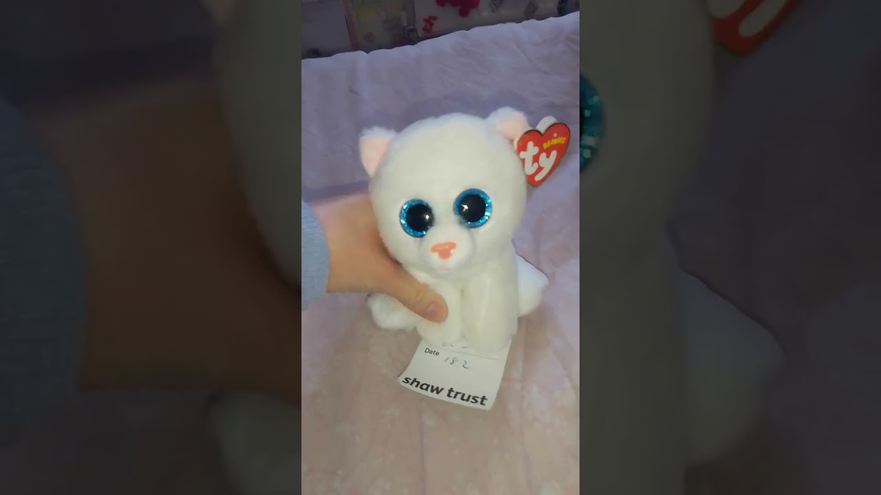 Two new beanie toys from my Wantage town trip 