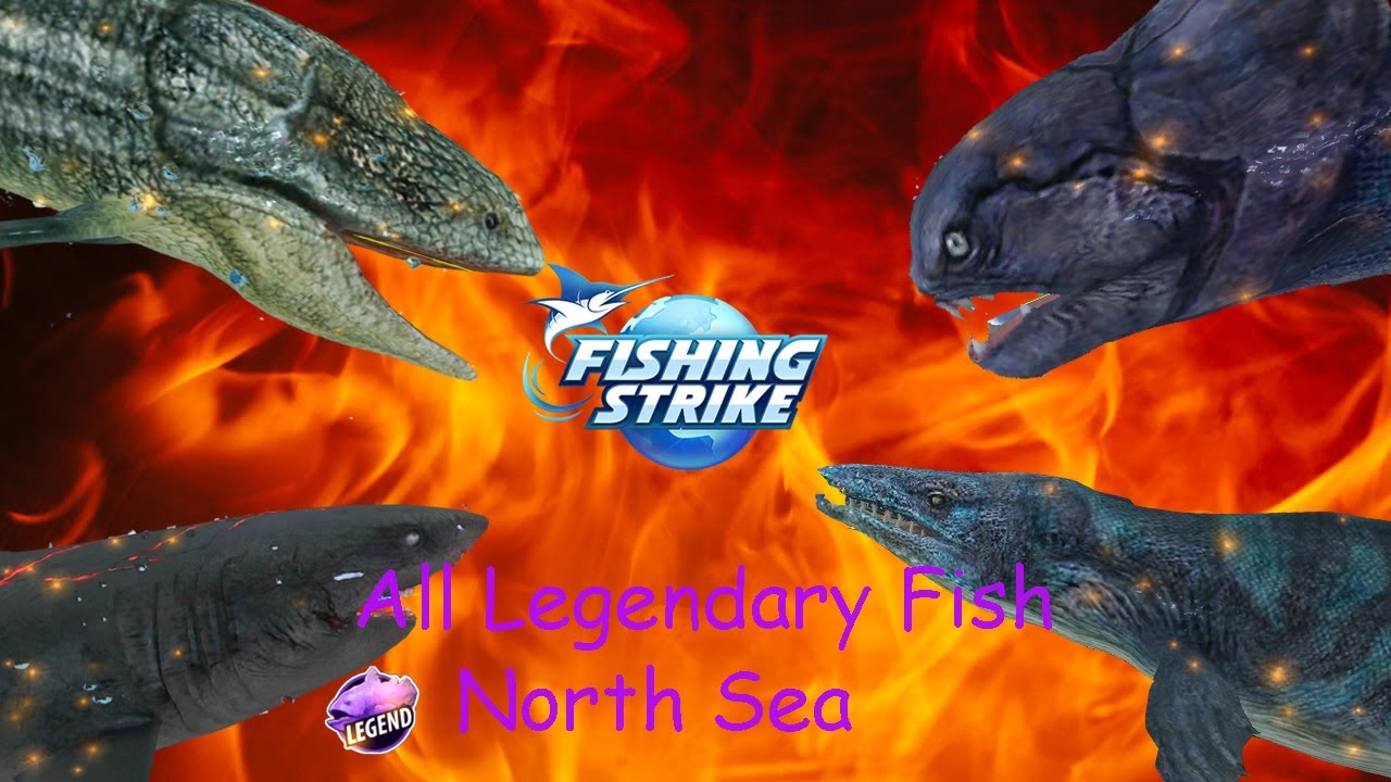 Fishing Strike - All Legendary Fish in North Sea